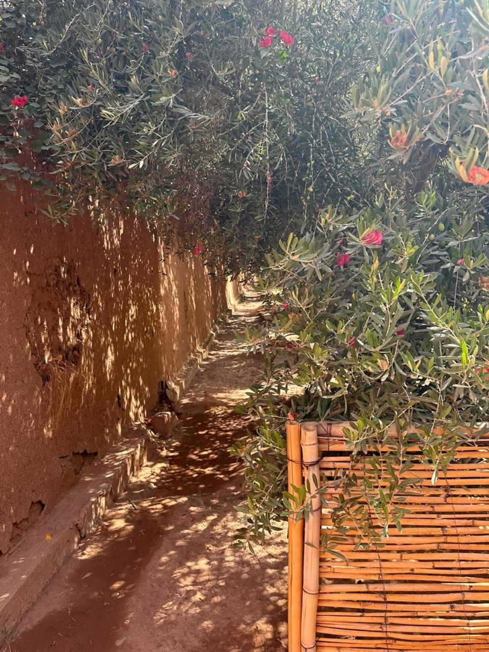 Villa Ms Holidays Mika Privatisee Marrakech Marrakesh Ngoại thất bức ảnh