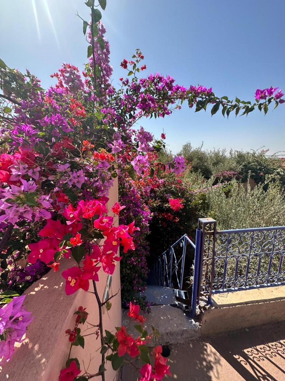 Villa Ms Holidays Mika Privatisee Marrakech Marrakesh Ngoại thất bức ảnh