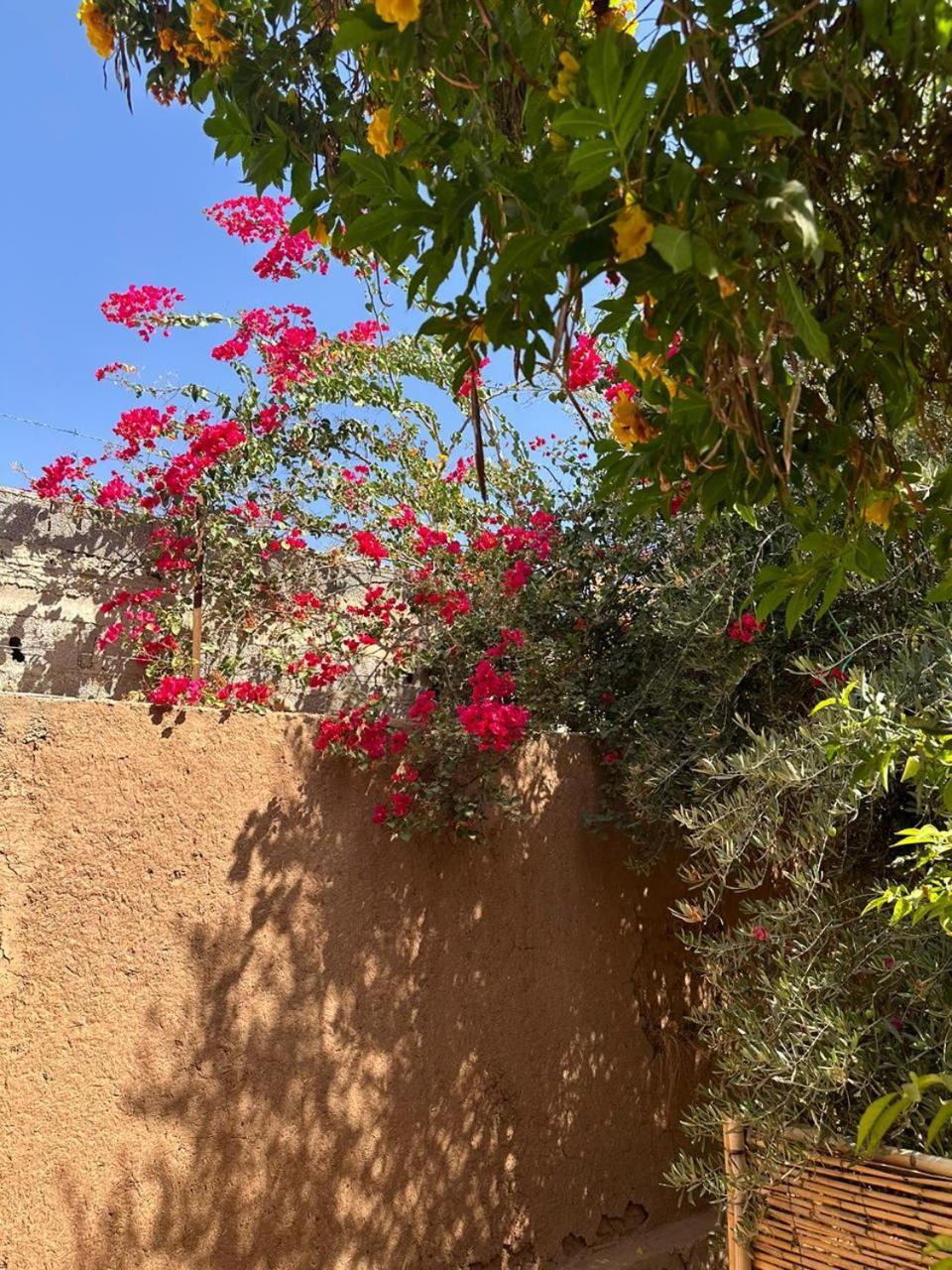 Villa Ms Holidays Mika Privatisee Marrakech Marrakesh Ngoại thất bức ảnh